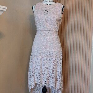 Joie Pink Floral Lace Midi Dress – Size 6